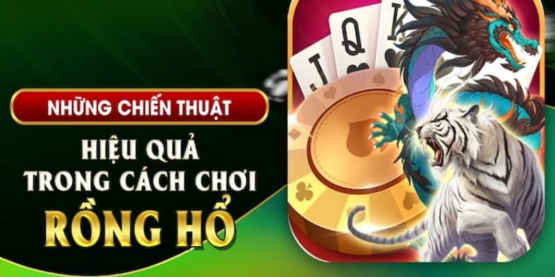 Hội viên bỏ túi 2 kinh nghiệm đánh Dragon Tiger thắng lớn